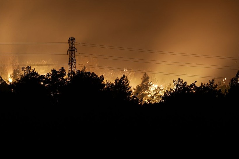 İzmir Urla'da orman yangını - Resim: 8