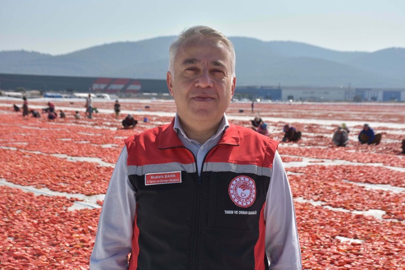 İzmir'de kuru domates mesaisi - Resim: 12