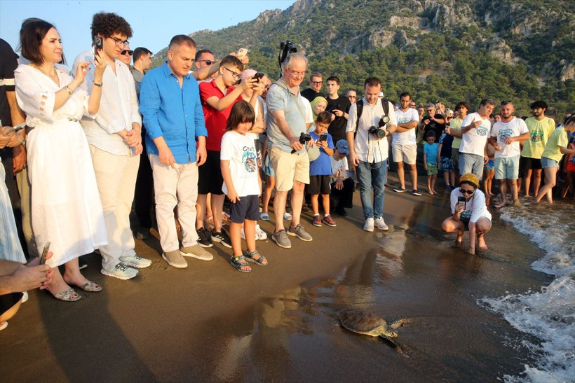 Uydu cihazıyla izlenen caretta caretta "Tuba" ikinci dünya turuna salındı - Resim: 3