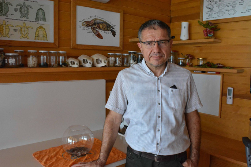 Türkiye'nin ilk canlı siyam ikizi caretta yavruları - Resim: 7