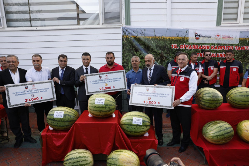 Kuraklığın vurduğu Diyarbakır karpuzunda birincilik 39 kiloda kaldı - Resim: 6