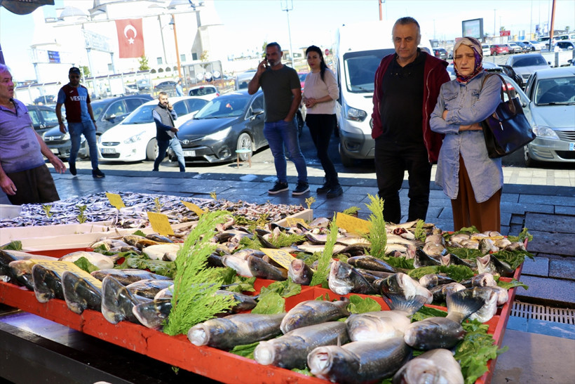Hamsi tezgaha erken indi, fiyatı 150 TL'den başladı! - Resim : 2