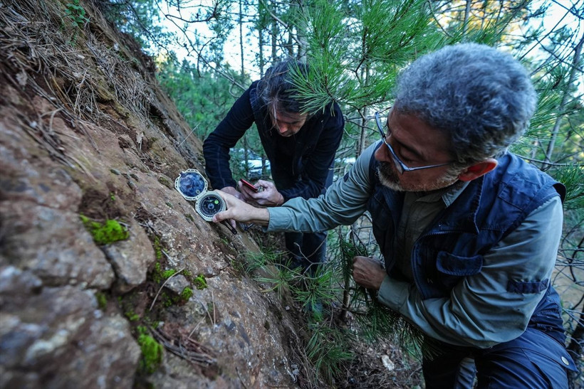 Sındırgı'daki saha araştırmasında gözle görülür fark: Ölü faylar uyandı - Resim: 2