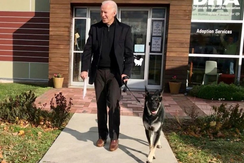 Beyaz Saray'da Biden'ın köpekleri krizi! - Resim: 14