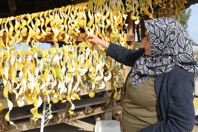 Dalında kuruşla ipte lirayla! Kadın girişimci herkesin dereye döktüğü limonda çareyi buldu - Resim: 6