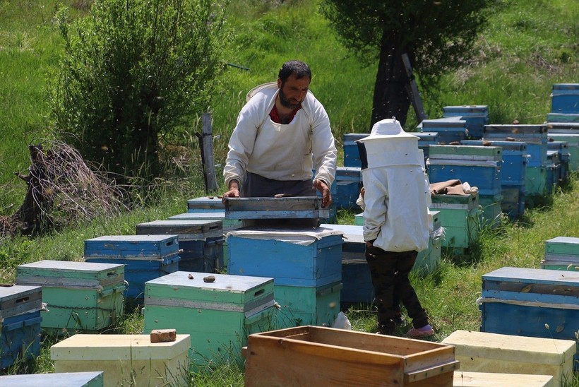 Geçmişte çöpe gidiyordu, şimdi kilosu 3 bin TL’den satılıyor - Resim: 7
