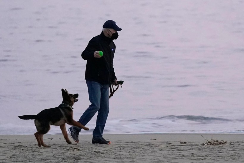 Beyaz Saray'da Biden'ın köpekleri krizi! - Resim: 10