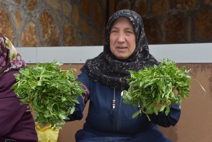 Madımak tezgahlardaki yerini aldı! Fiyatı dudak uçuklattı - Resim: 4