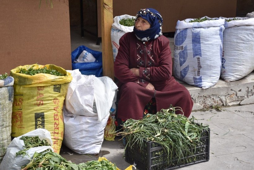 Madımak tezgahlardaki yerini aldı! Fiyatı dudak uçuklattı - Resim: 3