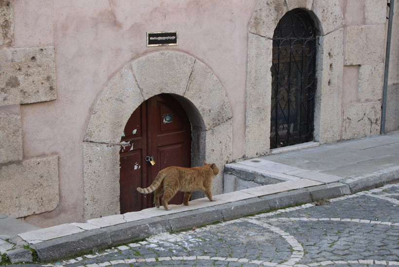 Amasya'da 9 türbeye kilit vuruldu! Şehzadelerin başucunda usulsüzlük - Resim: 10
