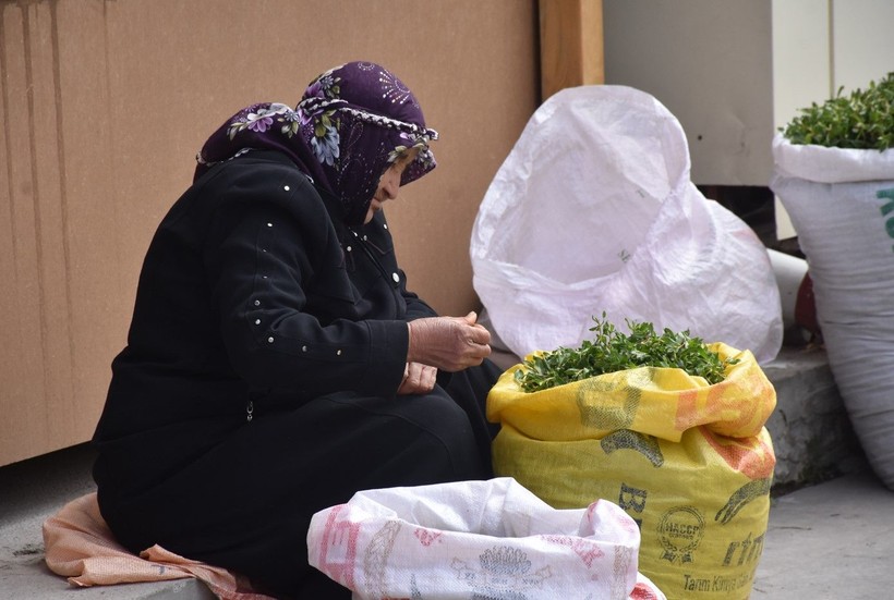 Madımak tezgahlardaki yerini aldı! Fiyatı dudak uçuklattı - Resim: 5
