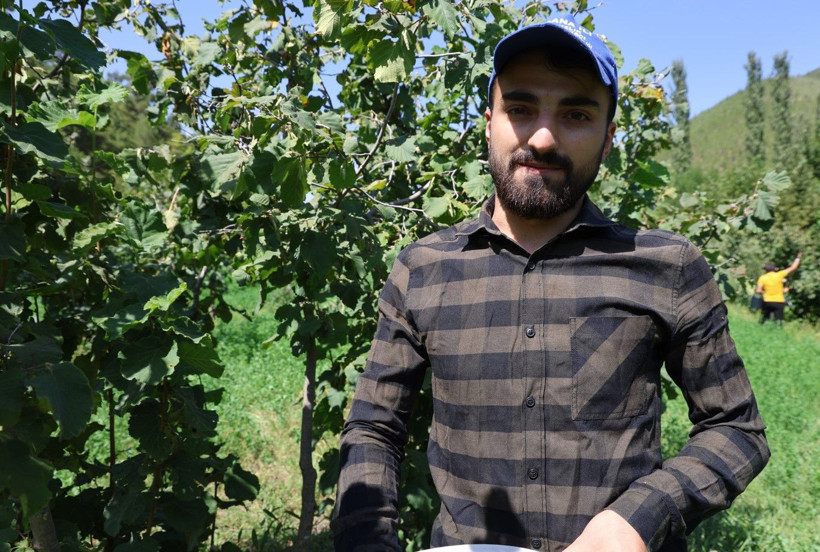 Karadeniz değil Adana: Torosların eteğinde fındık hasadı - Resim: 6