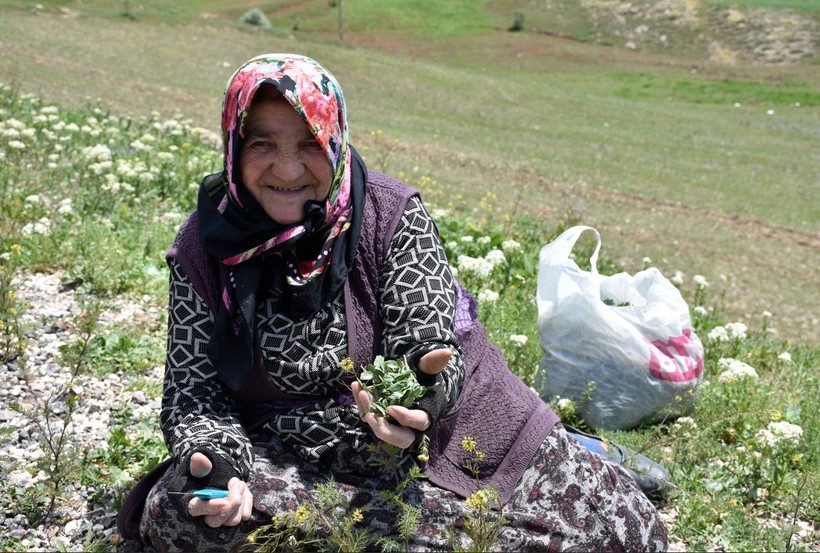 Madımak tezgahlardaki yerini aldı! Fiyatı dudak uçuklattı - Resim: 2