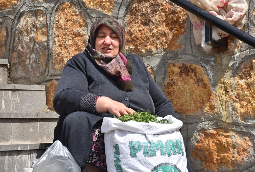 Madımak tezgahlardaki yerini aldı! Fiyatı dudak uçuklattı - Resim: 6