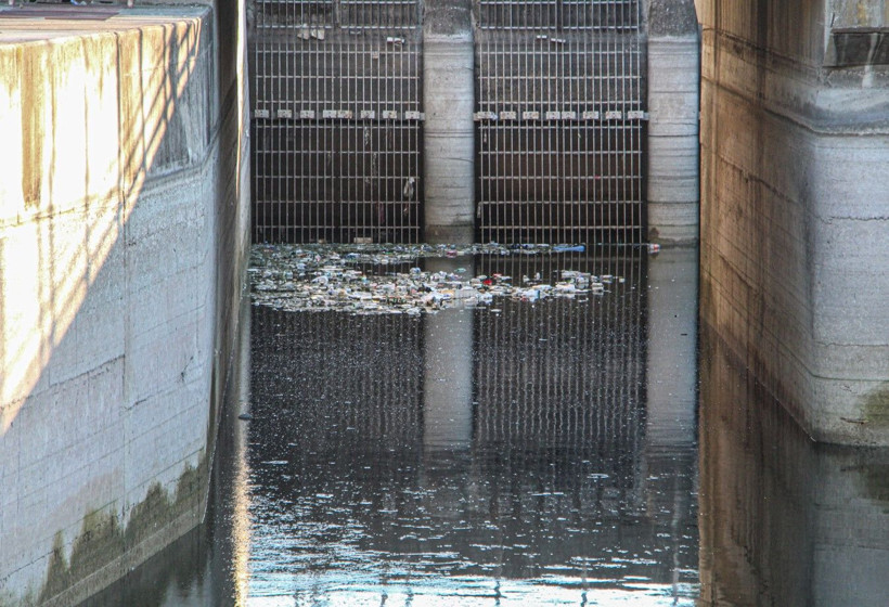 Seyhan Nehri'nde balık ölümleri - Resim: 8