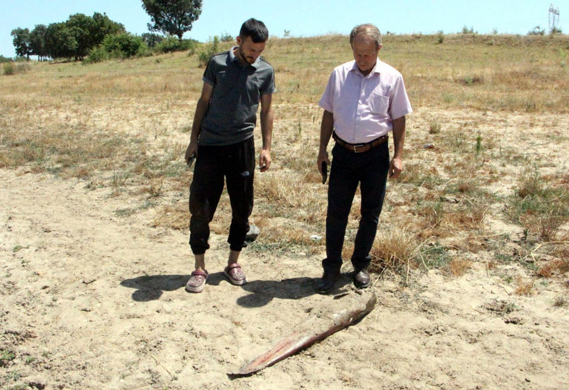 Edirne'de korkutan görüntü! Gölette toplu balık ölümleri gerçekleşti - Resim: 6