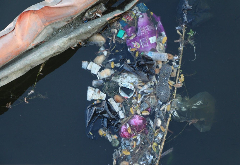 Seyhan Nehri'nde balık ölümleri - Resim: 7