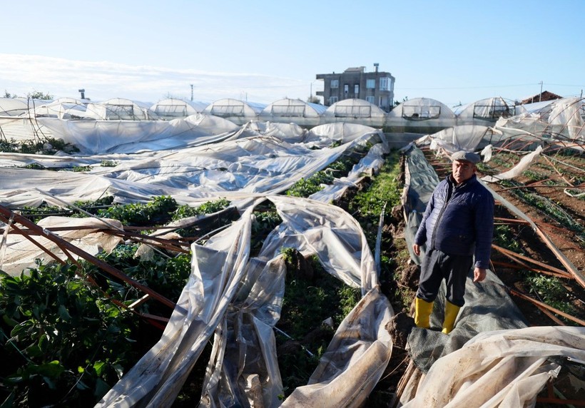 Antalya'da hortumun bilançosu ağır oldu: 6 yaralı, 1000 dönüm sera zarar gördü - Resim: 16