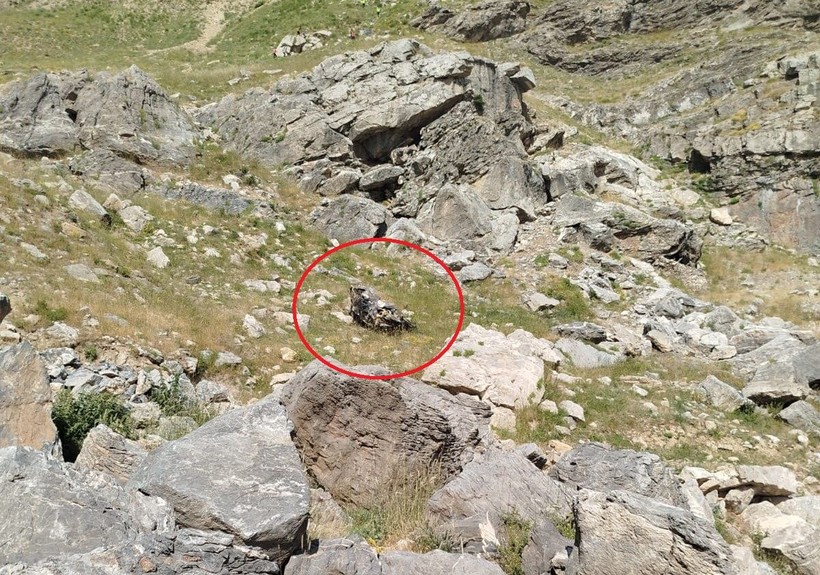 Batman'da katliam gibi kaza: Bilirkişilerin olduğu araç şarampole yuvarlandı! Sağ kurtulan yok - Resim: 7