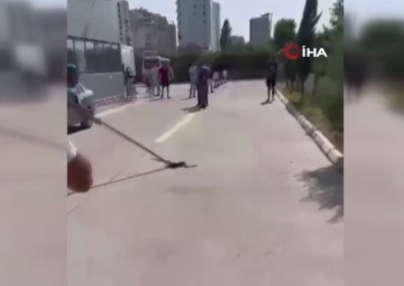Araç muayenesinde yılan paniği! Eliyle tutup... - Resim: 5