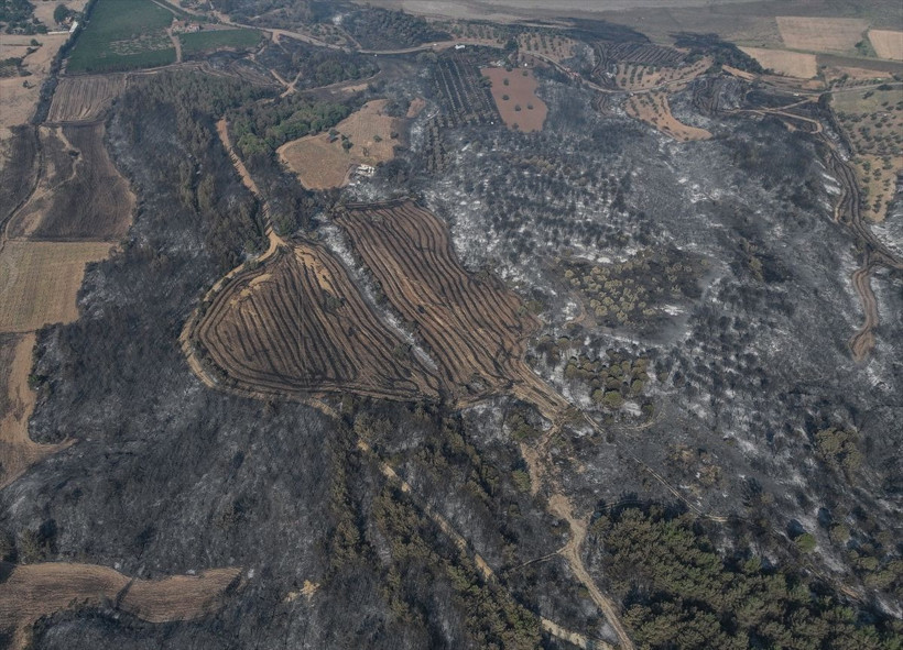 Çanakkale'de yangın dronla görüntülendi - Resim: 5