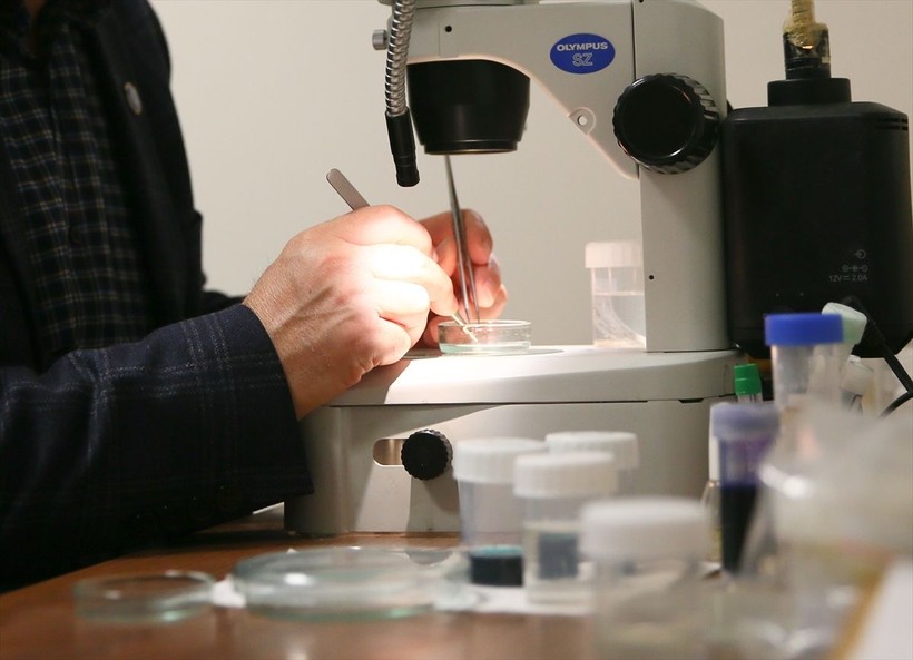 Türk bilim insanları o ilimizde keşfetti! Yeni canlı türü: Gammarus - Resim: 8