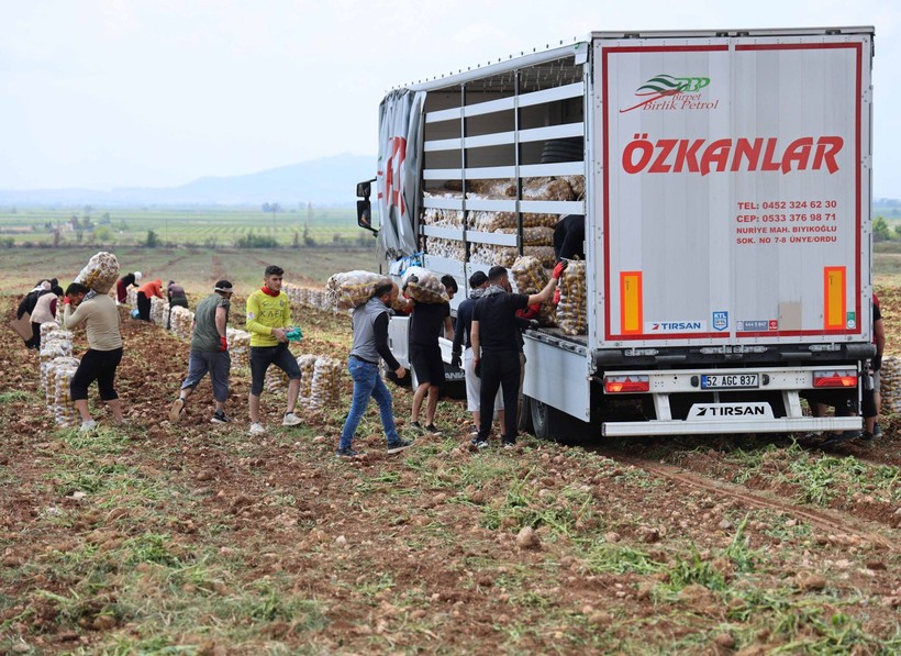 Adana'da günlük 250-300 ton patates yükleyen işçiler 2 bin 500 kazanıyorlara - Resim: 9