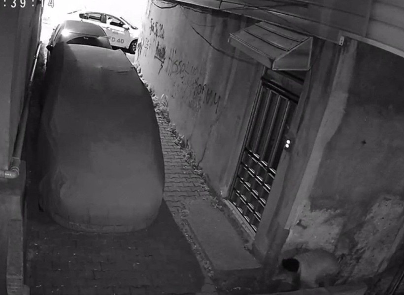 Taksicileri özel şoför gibi kullanıyor ancak ücret ödemeden kaçıyor - Resim: 8