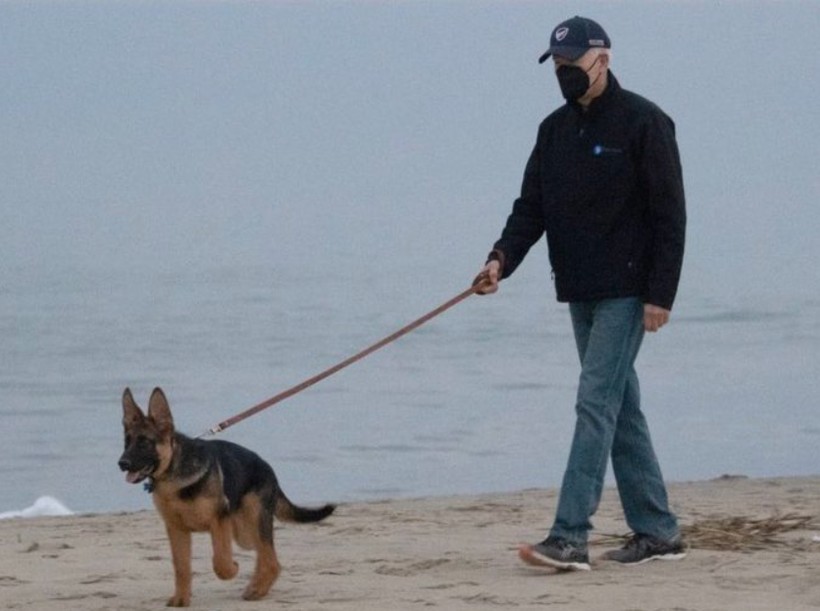 Beyaz Saray'da Biden'ın köpekleri krizi! - Resim: 12