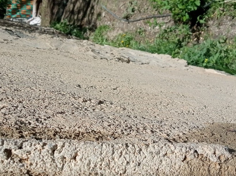 Hakkari'de yılanlı ev kabusu! Her delikten çıkıyor: 3 kez düşük yaptım - Resim: 7