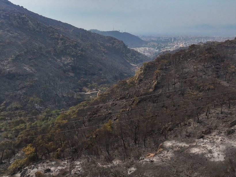 İzmir'deki yangın felaketinin bilançosu gün ağarınca ortaya çıktı - Resim: 18
