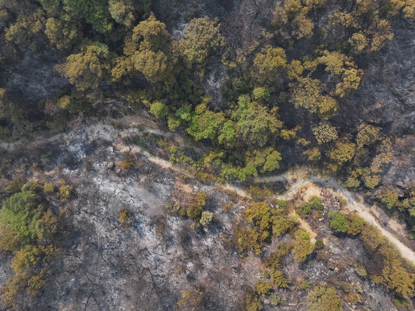 İzmir'deki yangın felaketinin bilançosu gün ağarınca ortaya çıktı - Resim: 28