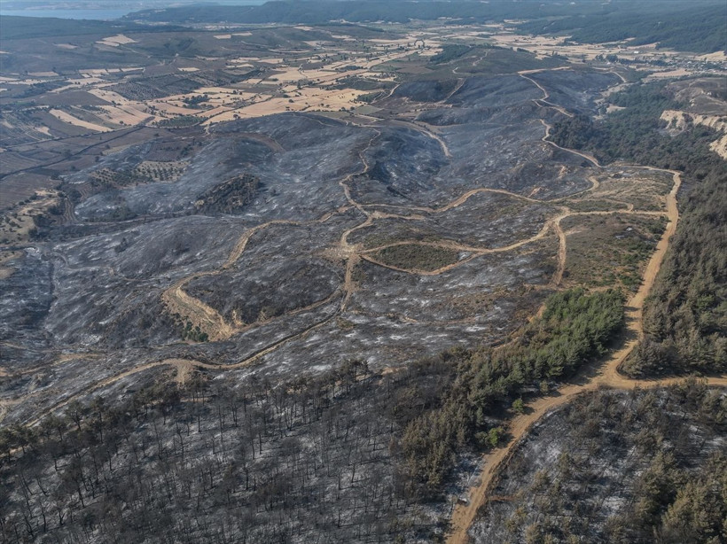 Çanakkale'de yangın dronla görüntülendi - Resim: 1