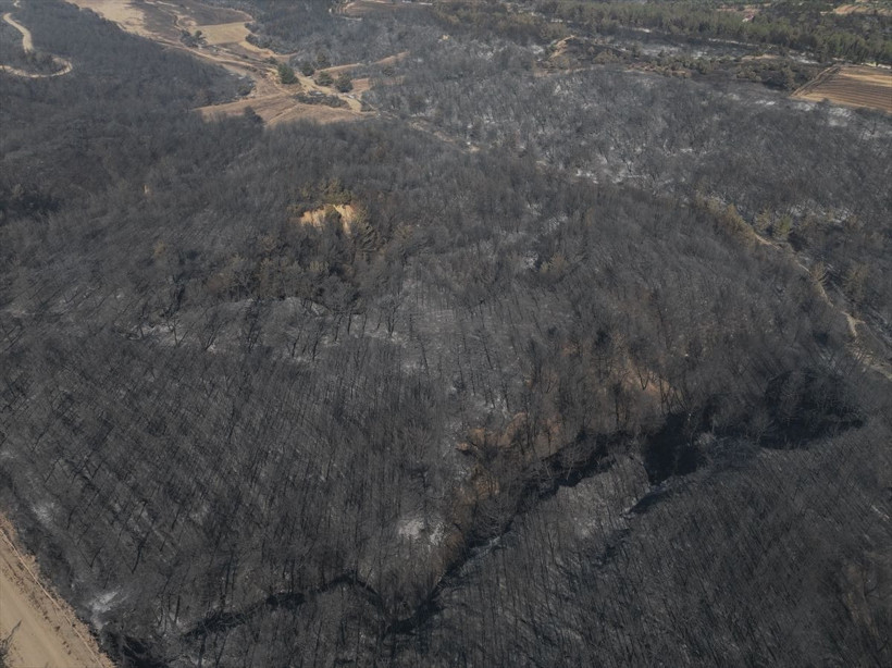 Çanakkale'de yangın dronla görüntülendi - Resim: 3