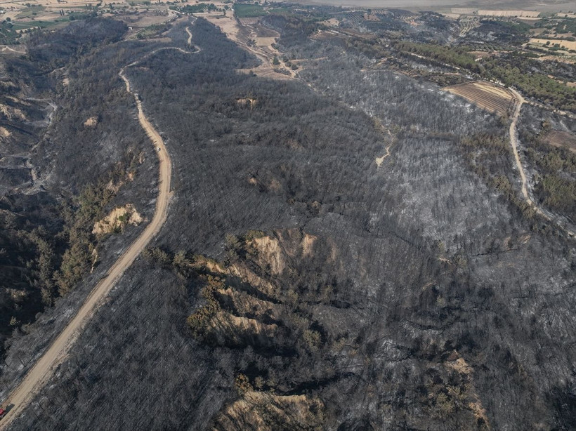 Çanakkale'de yangın dronla görüntülendi - Resim: 4