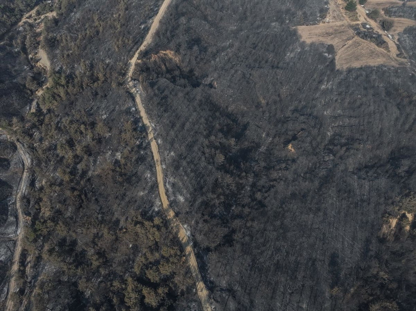 Çanakkale'de yangın dronla görüntülendi - Resim: 6