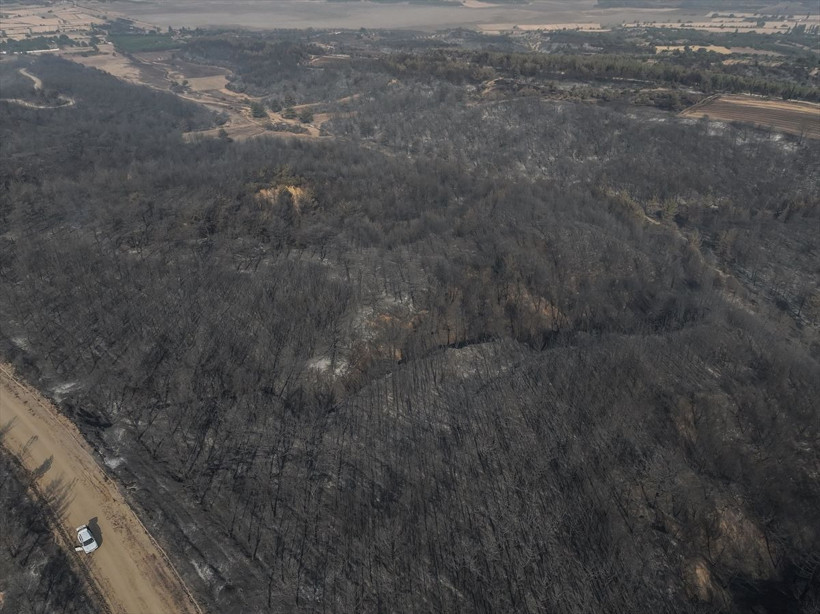 Çanakkale'de yangın dronla görüntülendi - Resim: 8