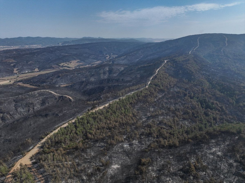 Çanakkale'de yangın dronla görüntülendi - Resim: 11
