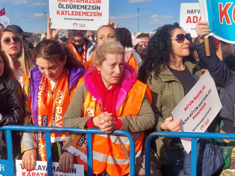 Hayvanseverler Yenikapı'da hayvan hakları mitingi düzenledi! Bir hayvanseverin köpek olması çok konuşuldu - Resim: 4