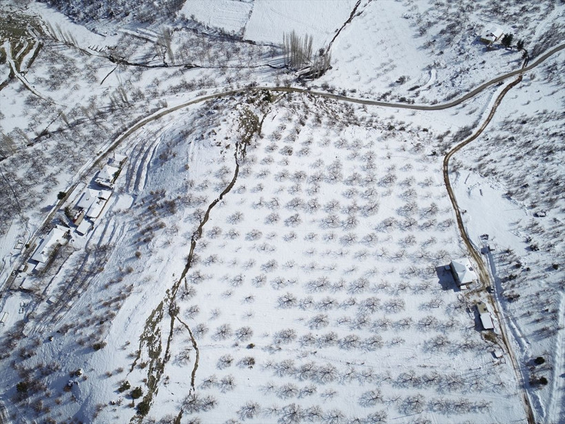 Deprem derin yarıklar oluşturdu! Malatya Doğanşehir kırsalında kayısı bahçeleri 2 metre çöktü - Resim: 6