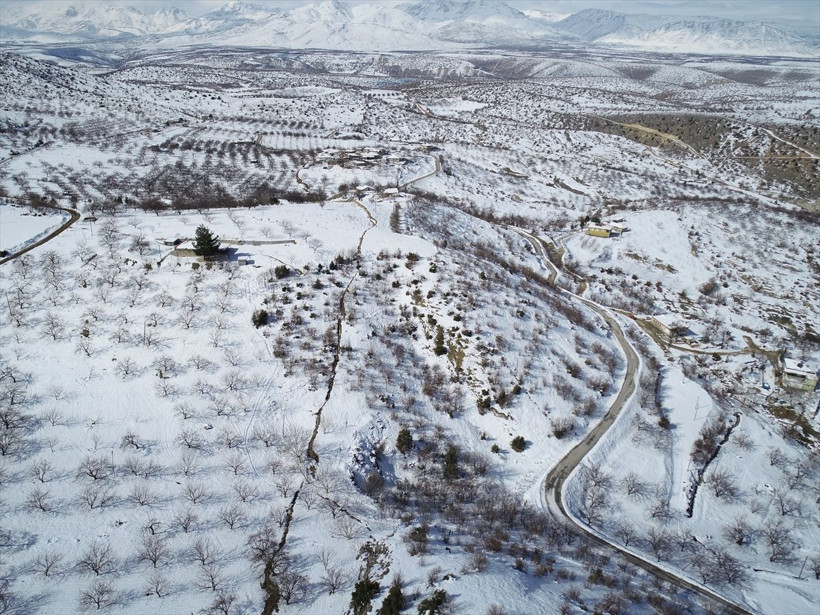 Deprem derin yarıklar oluşturdu! Malatya Doğanşehir kırsalında kayısı bahçeleri 2 metre çöktü - Resim: 12