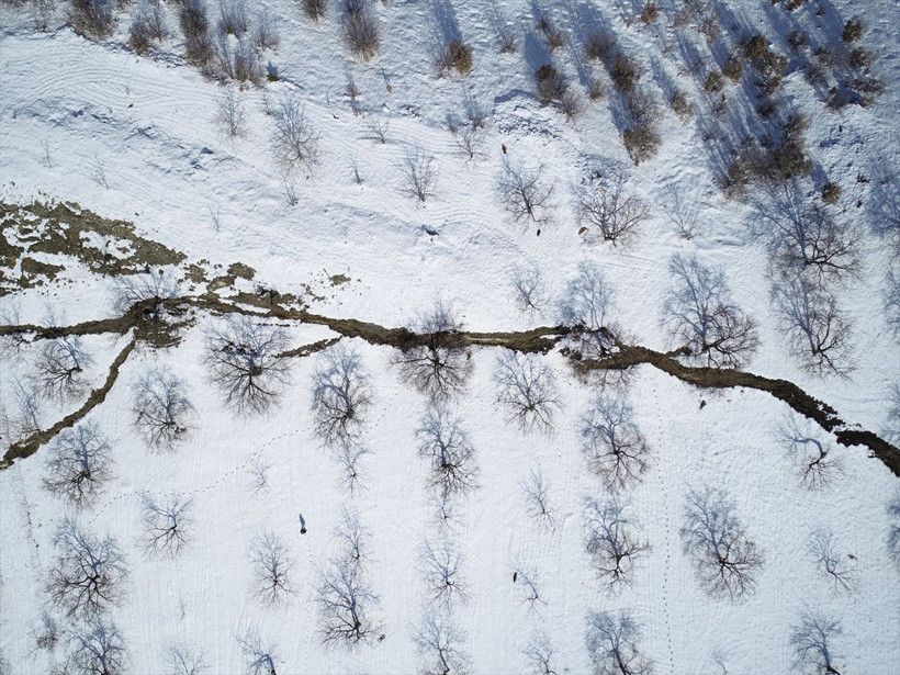 Deprem derin yarıklar oluşturdu! Malatya Doğanşehir kırsalında kayısı bahçeleri 2 metre çöktü - Resim: 13