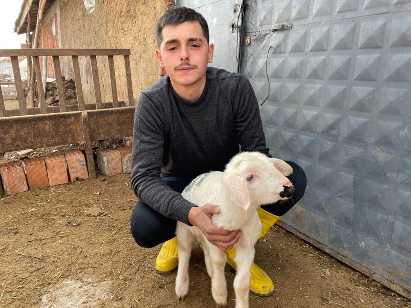 Çankırı'da küçükbaş hayvan yetiştiriciliği yapan Enes Cambaz, kuzusunun 'anne' dediği fark etti, Boncuk isimli kuzu sosyal medyada viral oldu - Resim: 1