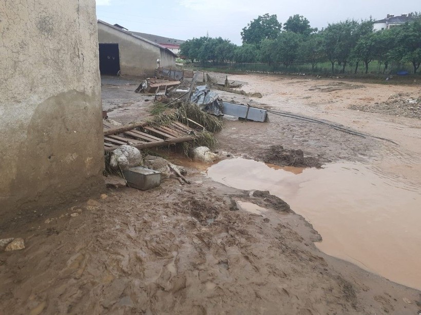 Elazığ'da korkunç olay! 200'e yakın küçükbaş hayvan öldü - Resim: 8