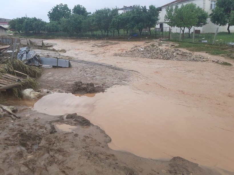 Elazığ'da korkunç olay! 200'e yakın küçükbaş hayvan öldü - Resim: 1