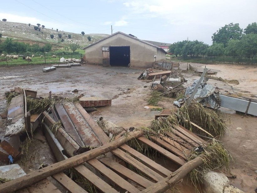 Elazığ'da korkunç olay! 200'e yakın küçükbaş hayvan öldü - Resim: 2
