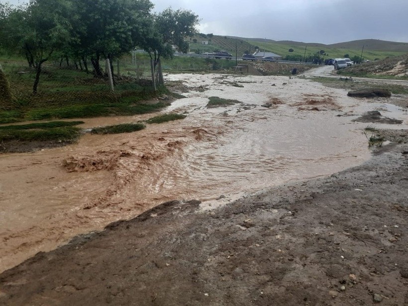 Elazığ'da korkunç olay! 200'e yakın küçükbaş hayvan öldü - Resim: 3
