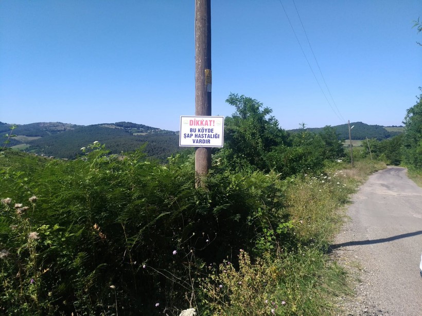 Zonguldak'ta "şap hastalığı" sebebiyle 136 köy karantina altına alındı - Resim : 2