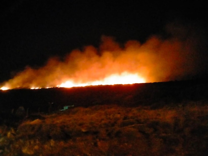 Çeşme'deki yangınla ilgili 1 şüpheli gözaltında - Resim: 2