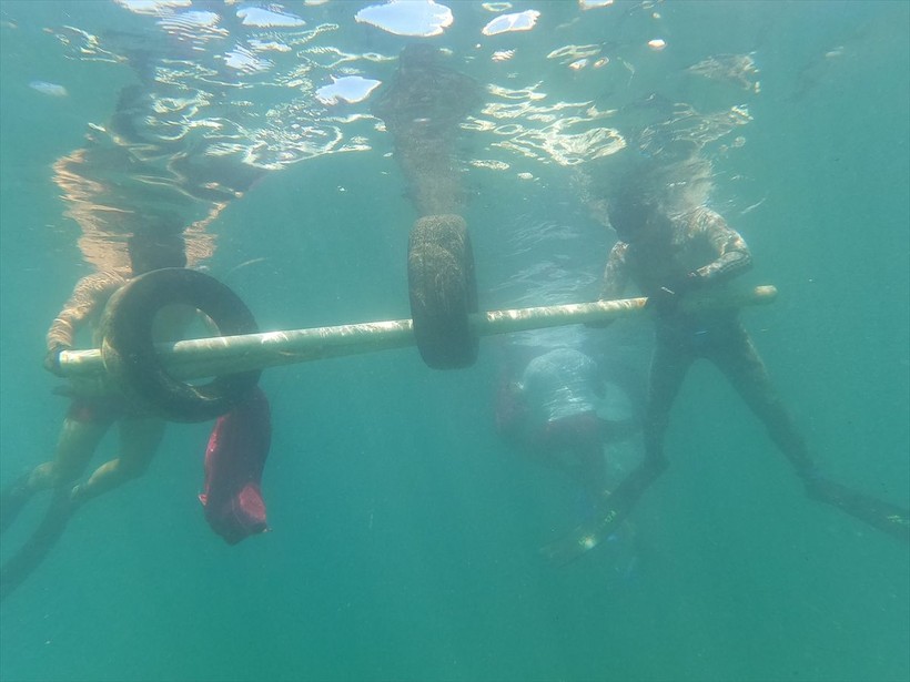 Bodrum'da deniz dibi temizliğinde 200 kilogram atık çıkarıldı! - Resim: 8